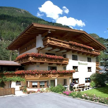 Haus Weidmannsheil Apartment Längenfeld Екстериор снимка